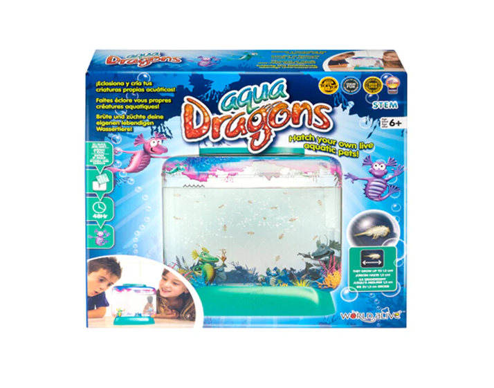 Dive into the Magical World of Aqua Dragons!