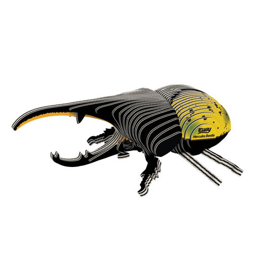 Eugy Hercules Beetle